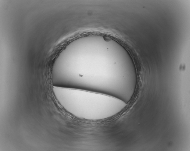 X0000113111494200908281004