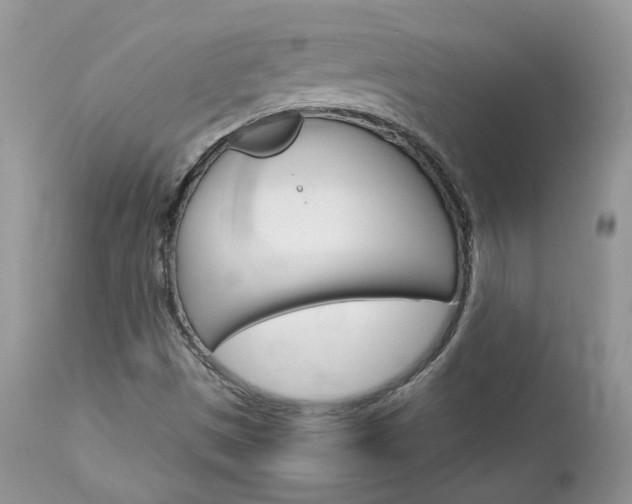 X0000113111497200908281004