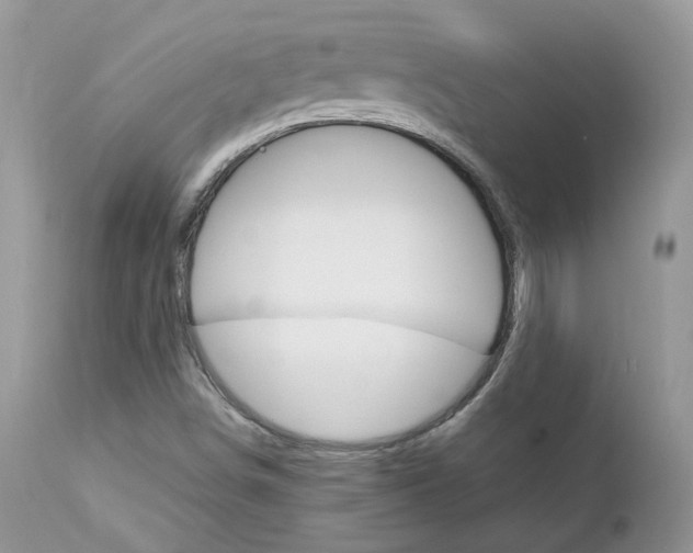X0000113111498200908281004