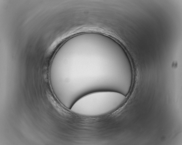 X0000113111499200908281004