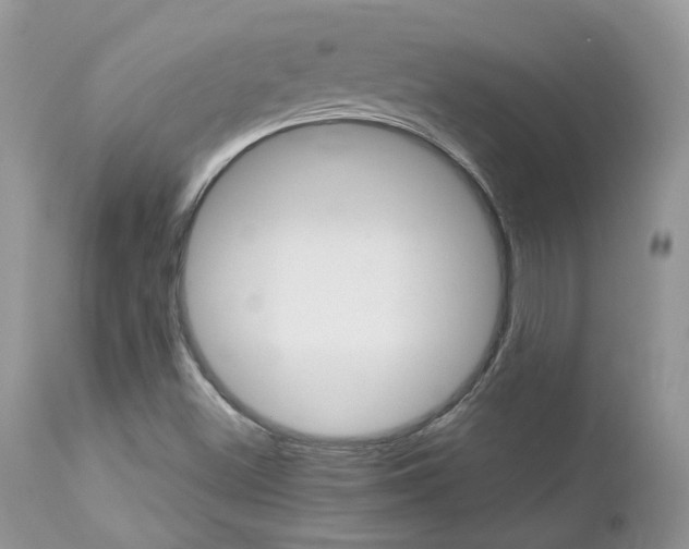 X0000113111500200908281004