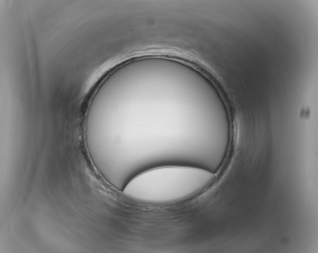 X0000113111501200908281004