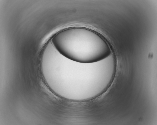 X0000113111502200908281004