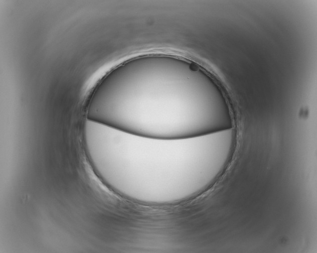 X0000113111504200908281004