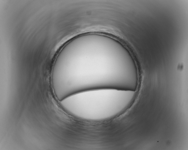 X0000113111505200908281004