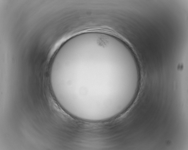 X0000113111506200908281004