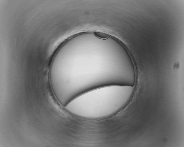 X0000113111507200908281004