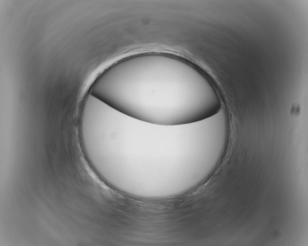 X0000113111508200908281004