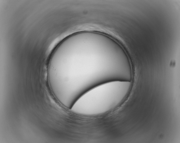 X0000113111509200908281004