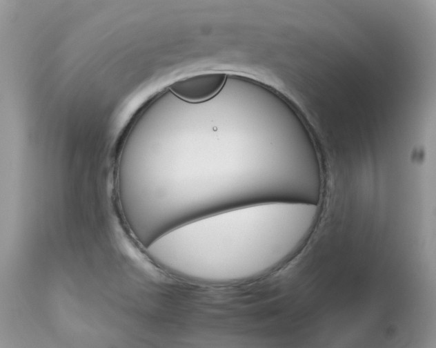 X0000113111511200908281004