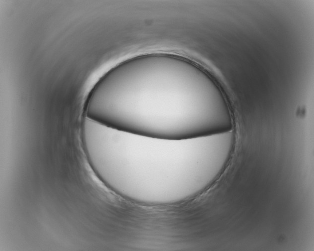X0000113111512200908281004