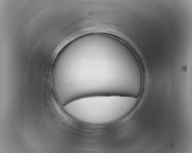 X0000113111513200908281004