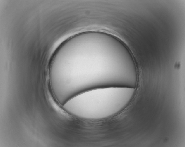 X0000113111515200908281004