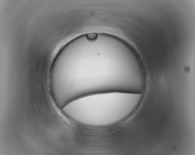 X0000113111517200908281004