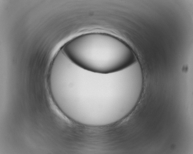 X0000113111518200908281004