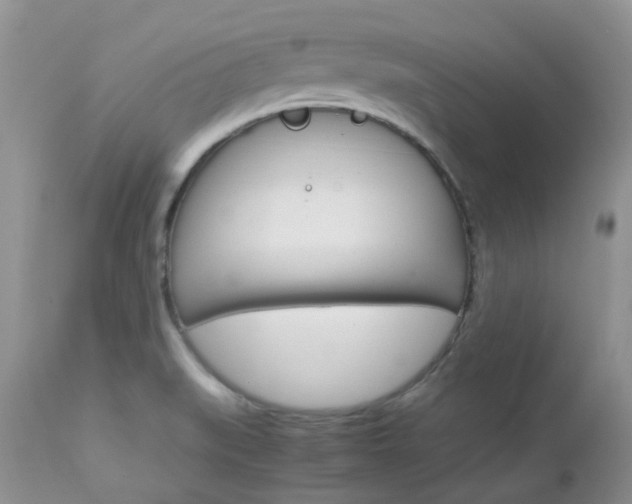 X0000113111519200908281004