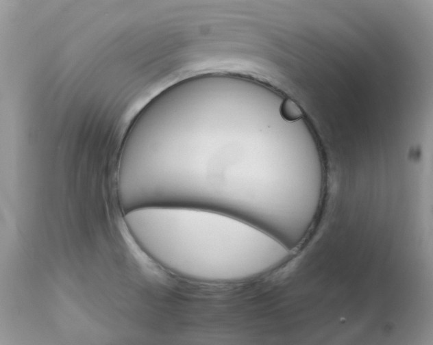 X0000113111521200908281004
