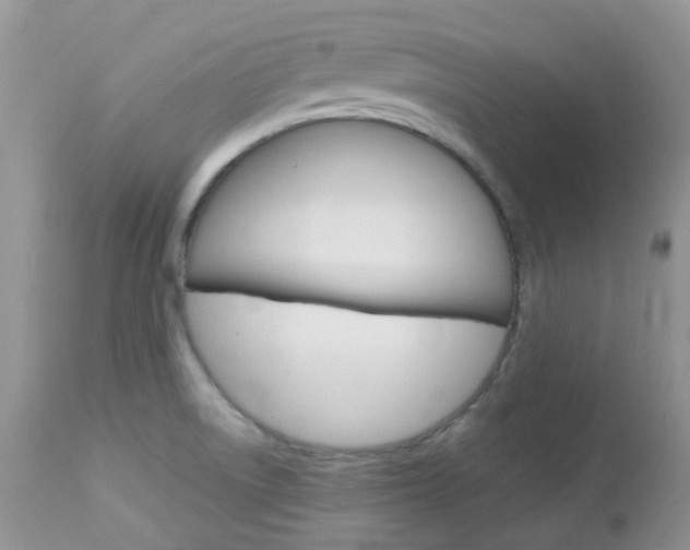 X0000113111522200908281004