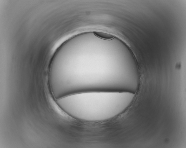 X0000113111523200908281004