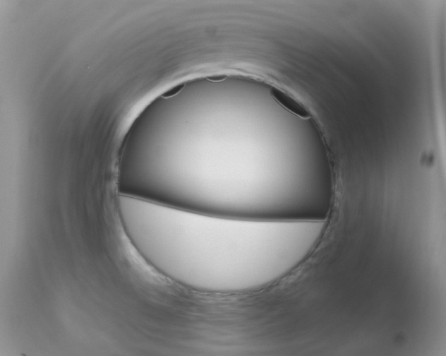 X0000113111524200908281005