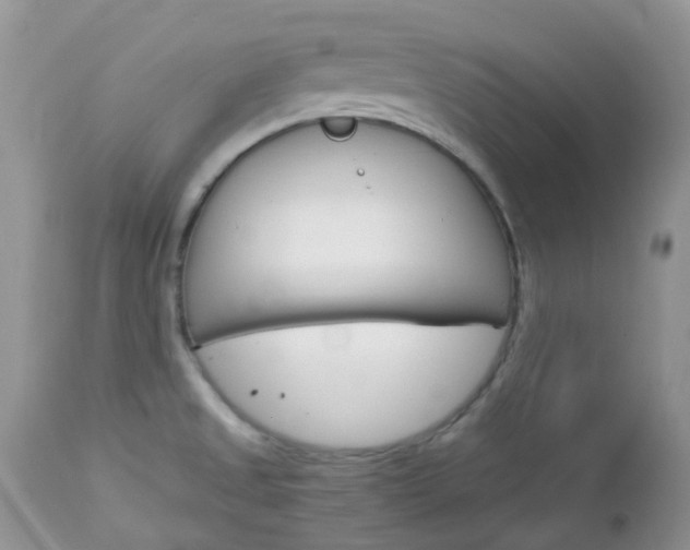 X0000113111525200908281005