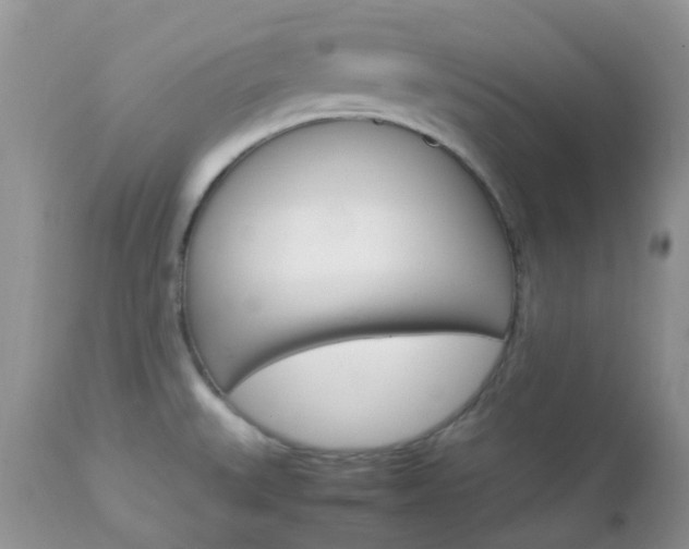 X0000113111527200908281005