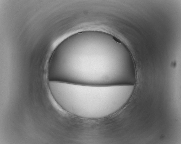 X0000113111528200908281005