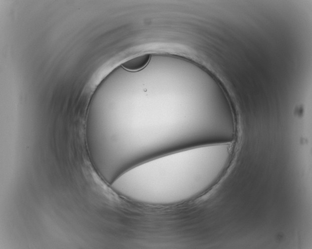 X0000113111529200908281005