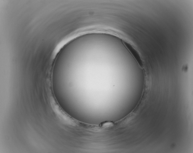 X0000113111530200908281005