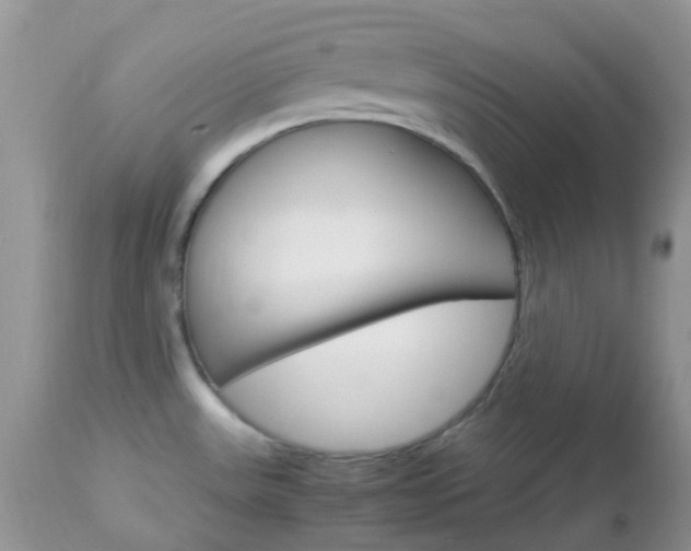X0000113111531200908281005
