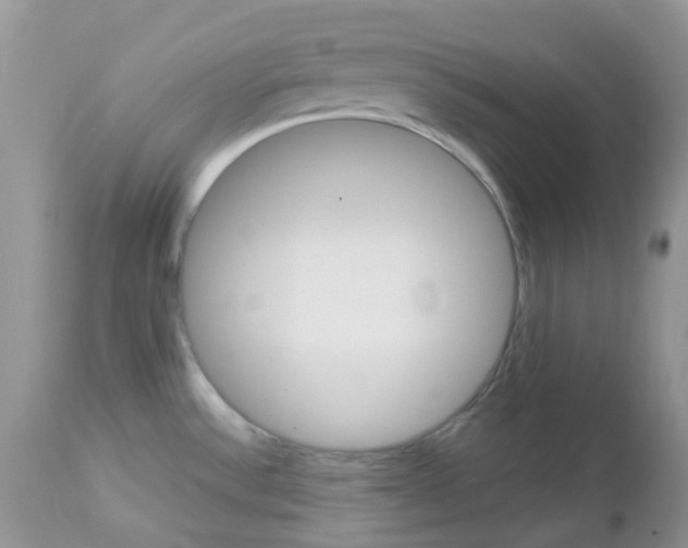 X0000113111532200908281005