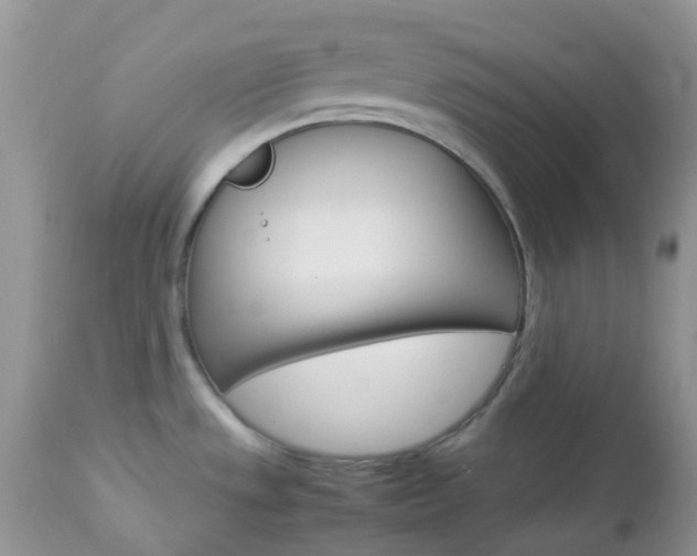 X0000113111533200908281005