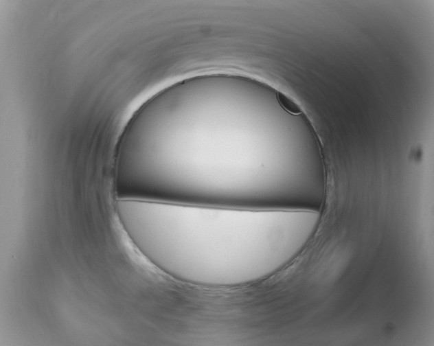 X0000113111534200908281005