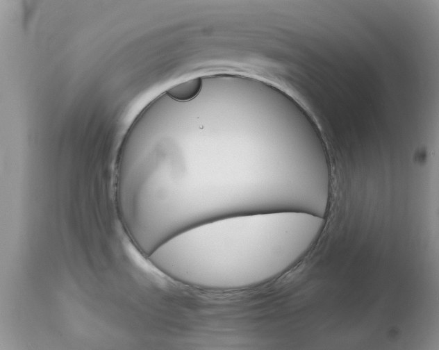 X0000113111535200908281005