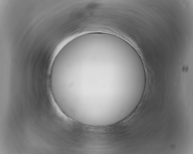 X0000113111536200908281005