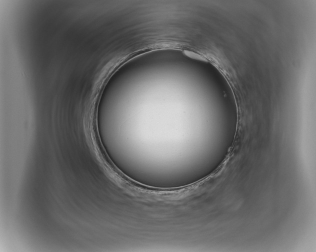 X0000113110001200908281418