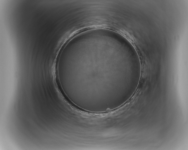 X0000113110002200908281418
