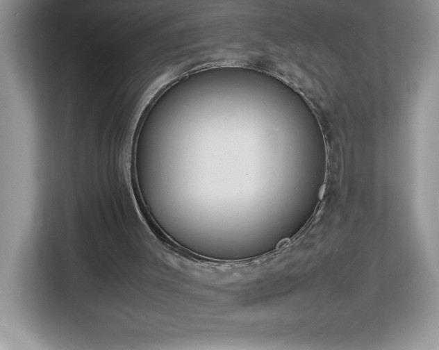X0000113110003200908281418