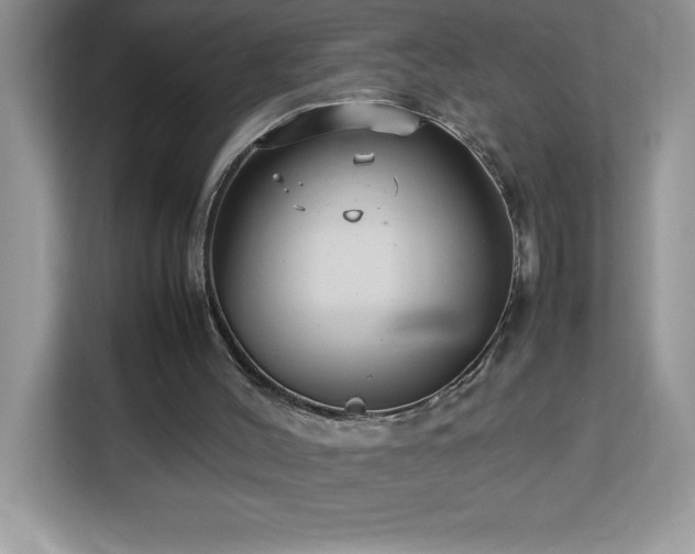 X0000113110004200908281418