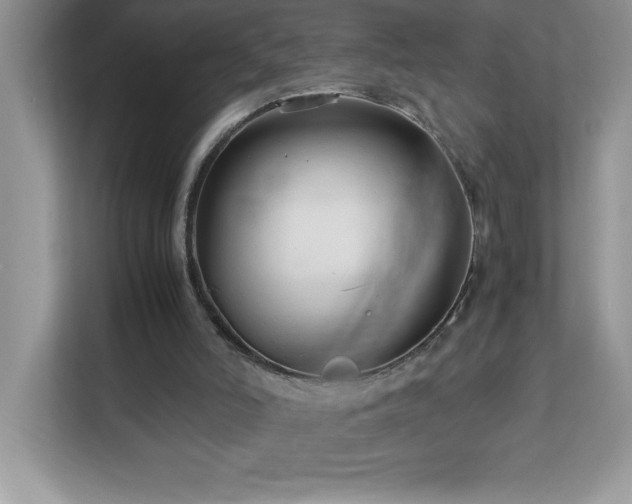 X0000113110006200908281418