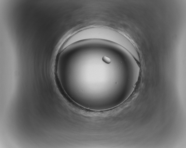 X0000113110007200908281418