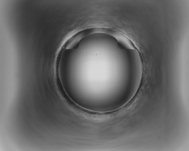 X0000113110008200908281418