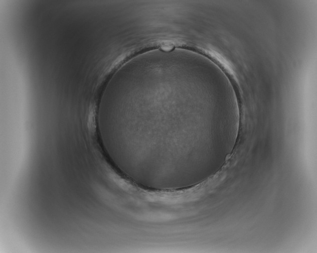 X0000113110009200908281418
