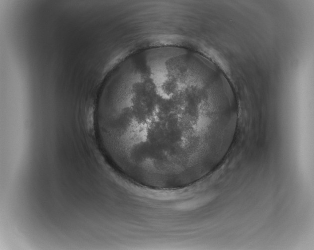 X0000113110010200908281418