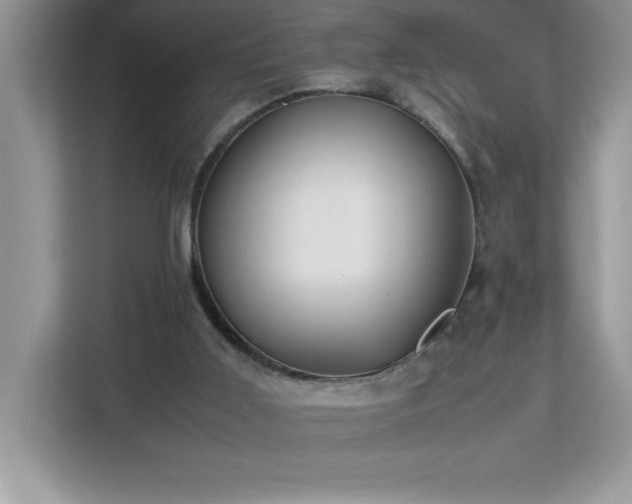 X0000113110011200908281418