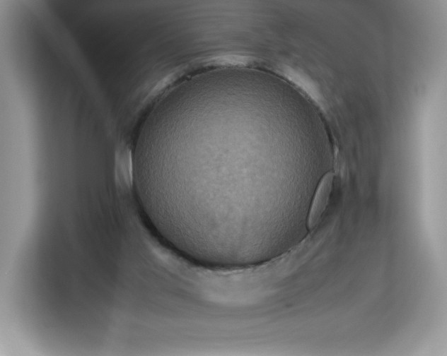 X0000113110013200908281418
