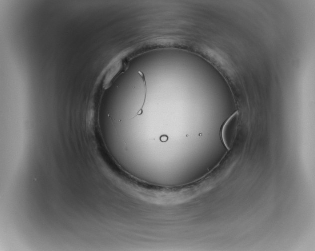 X0000113110016200908281418