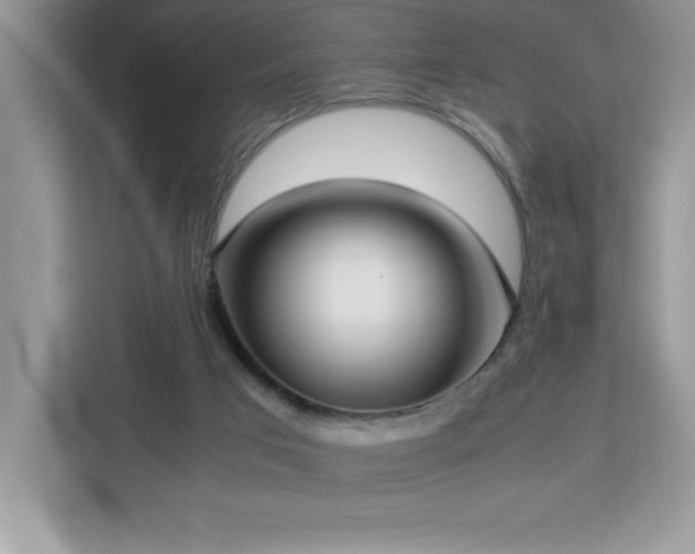 X0000113110017200908281418