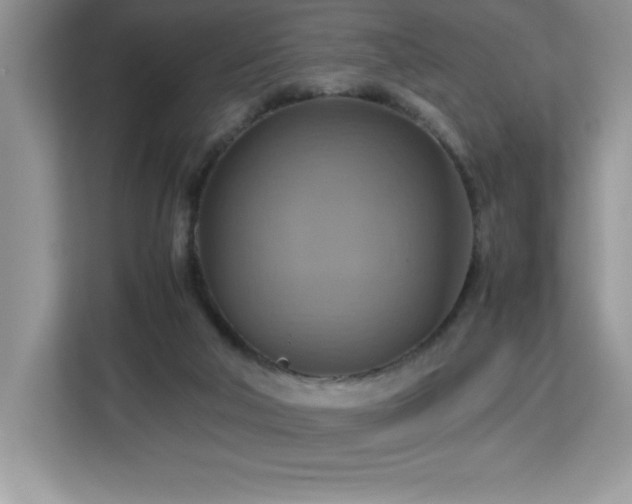X0000113110018200908281418