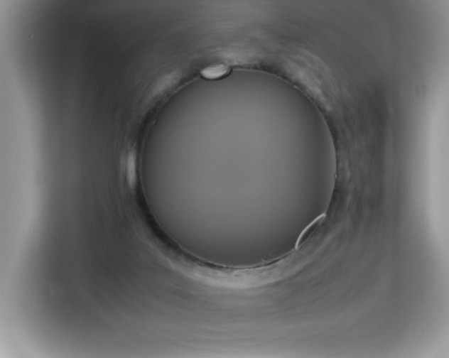 X0000113110019200908281418